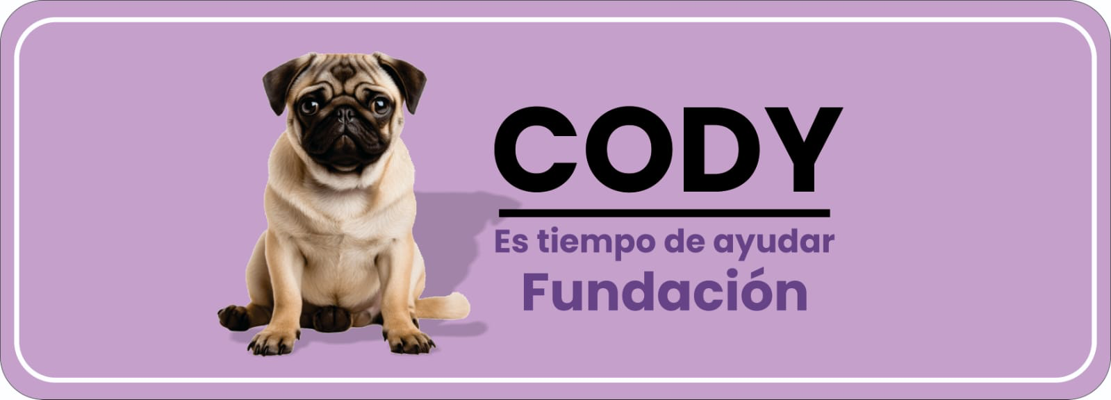 Cody - Parte del corazón de Es Tiempo de Ayudar